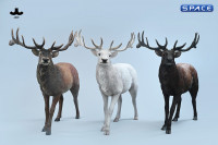 1/6 Scale Deer Version A