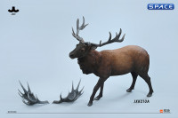 1/6 Scale Deer Version A