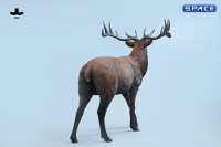 1/6 Scale Deer Version A