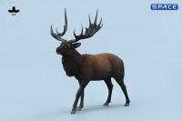 1/6 Scale Deer Version A