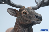 1/6 Scale Deer Version A