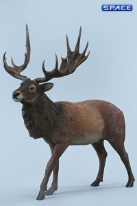 1/6 Scale Deer Version B
