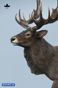 1/6 Scale Deer Version B