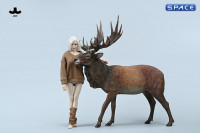 1/6 Scale Deer Version B