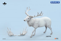 1/6 Scale Deer Version C