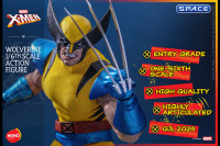 1/6 Scale Wolverine HS01 (Marvel)