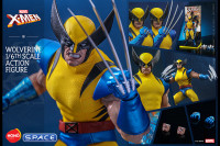 1/6 Scale Wolverine HS01 (Marvel)