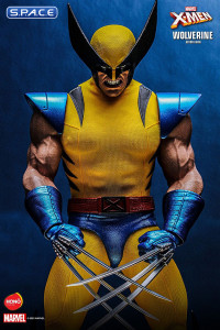 1/6 Scale Wolverine HS01 (Marvel)