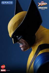 1/6 Scale Wolverine HS01 (Marvel)