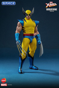 1/6 Scale Wolverine HS01 (Marvel)