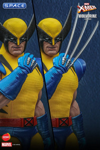 1/6 Scale Wolverine HS01 (Marvel)