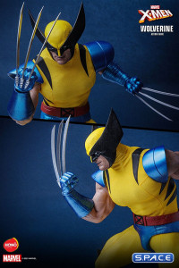 1/6 Scale Wolverine HS01 (Marvel)