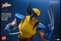 1/6 Scale Wolverine HS01 (Marvel)