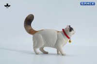 1/6 Scale Somali Cat (white)