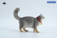 1/6 Scale Somali Cat (grey)