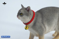 1/6 Scale Somali Cat (grey)