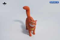 1/6 Scale Somali Cat (red)