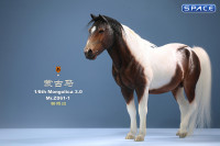 1/6 Scale Mongolica Horse Version 1