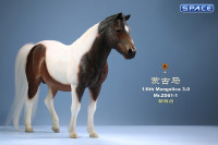 1/6 Scale Mongolica Horse Version 1