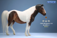 1/6 Scale Mongolica Horse Version 1