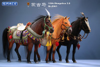 1/6 Scale Mongolica Horse Version 2