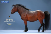 1/6 Scale Mongolica Horse Version 2