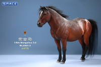 1/6 Scale Mongolica Horse Version 2