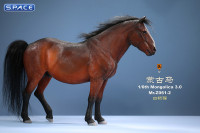 1/6 Scale Mongolica Horse Version 2