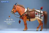 1/6 Scale Mongolica Horse Version 3