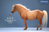 1/6 Scale Mongolica Horse Version 4