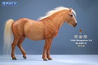 1/6 Scale Mongolica Horse Version 4