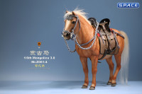 1/6 Scale Mongolica Horse Version 4