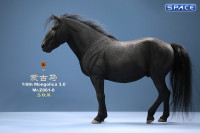 1/6 Scale Mongolica Horse Version 6