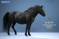 1/6 Scale Mongolica Horse Version 6