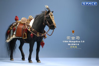 1/6 Scale Mongolica Horse Version 6