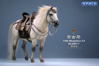 1/6 Scale Mongolica Horse Version 7