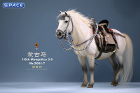 1/6 Scale Mongolica Horse Version 7