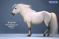 1/6 Scale Mongolica Horse Version 7