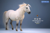 1/6 Scale Mongolica Horse Version 7