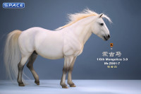 1/6 Scale Mongolica Horse Version 7