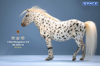 1/6 Scale Mongolica Horse Version 8