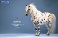 1/6 Scale Mongolica Horse Version 8