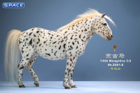 1/6 Scale Mongolica Horse Version 8