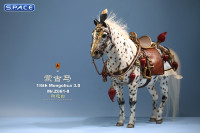 1/6 Scale Mongolica Horse Version 8