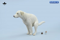 1/6 Scale pooping Labrador Version A