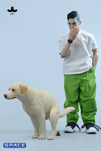 1/6 Scale pooping Labrador Version C