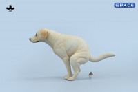 1/6 Scale pooping Labrador Version C