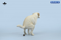 1/6 Scale pooping Labrador Version C