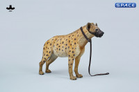 1/6 Scale Hyena Version A2