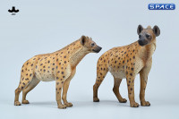 1/6 Scale Hyena Version A2